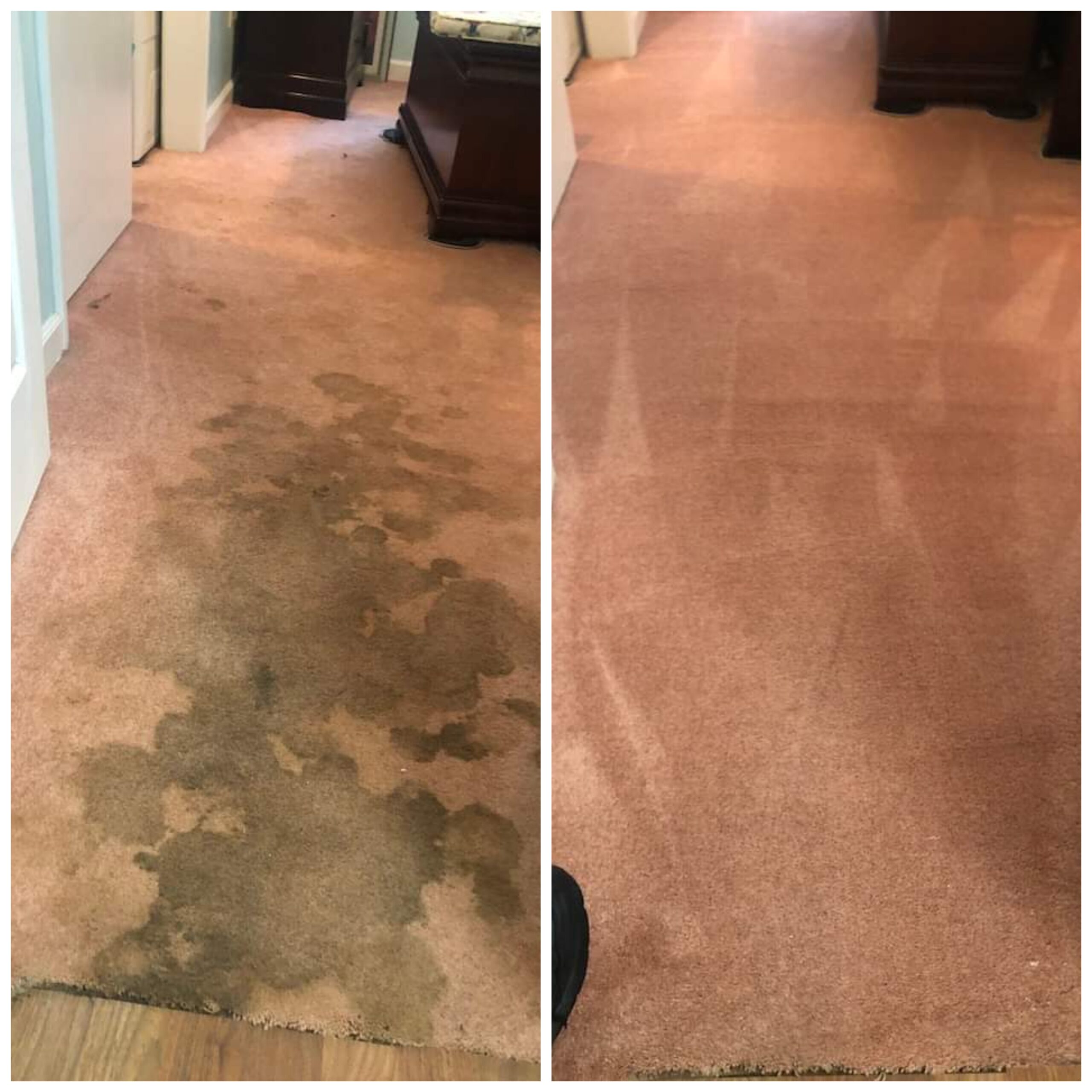 Before and after pet urine carpet cleaning in Martinez CA