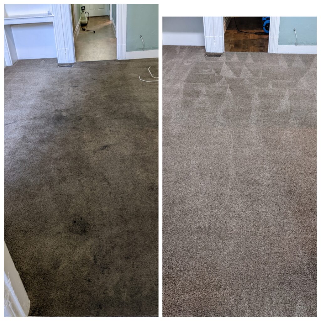 Professional carpet cleaning extraction for faster drying in Martinez CA