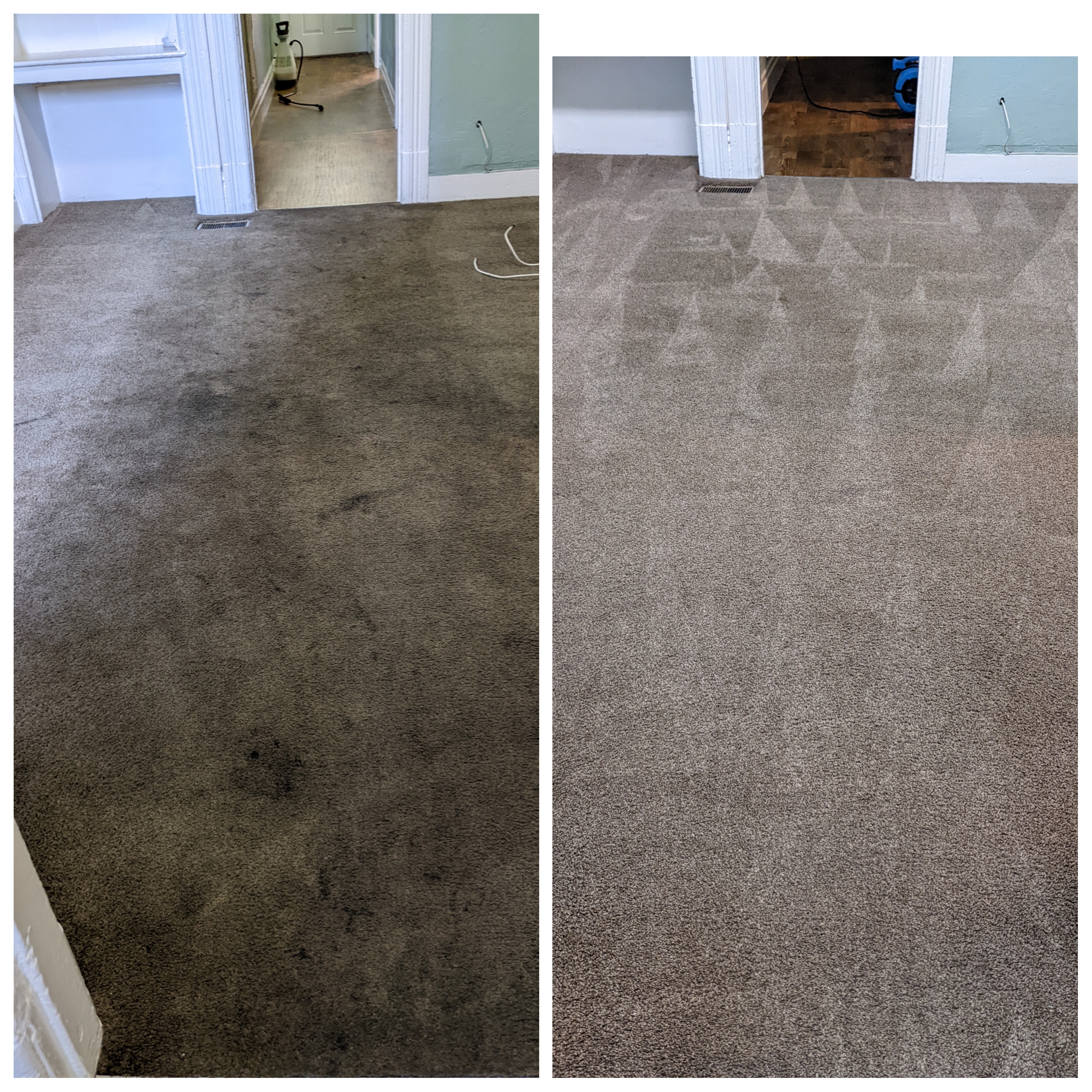 Professional carpet cleaning extraction for faster drying in Martinez CA