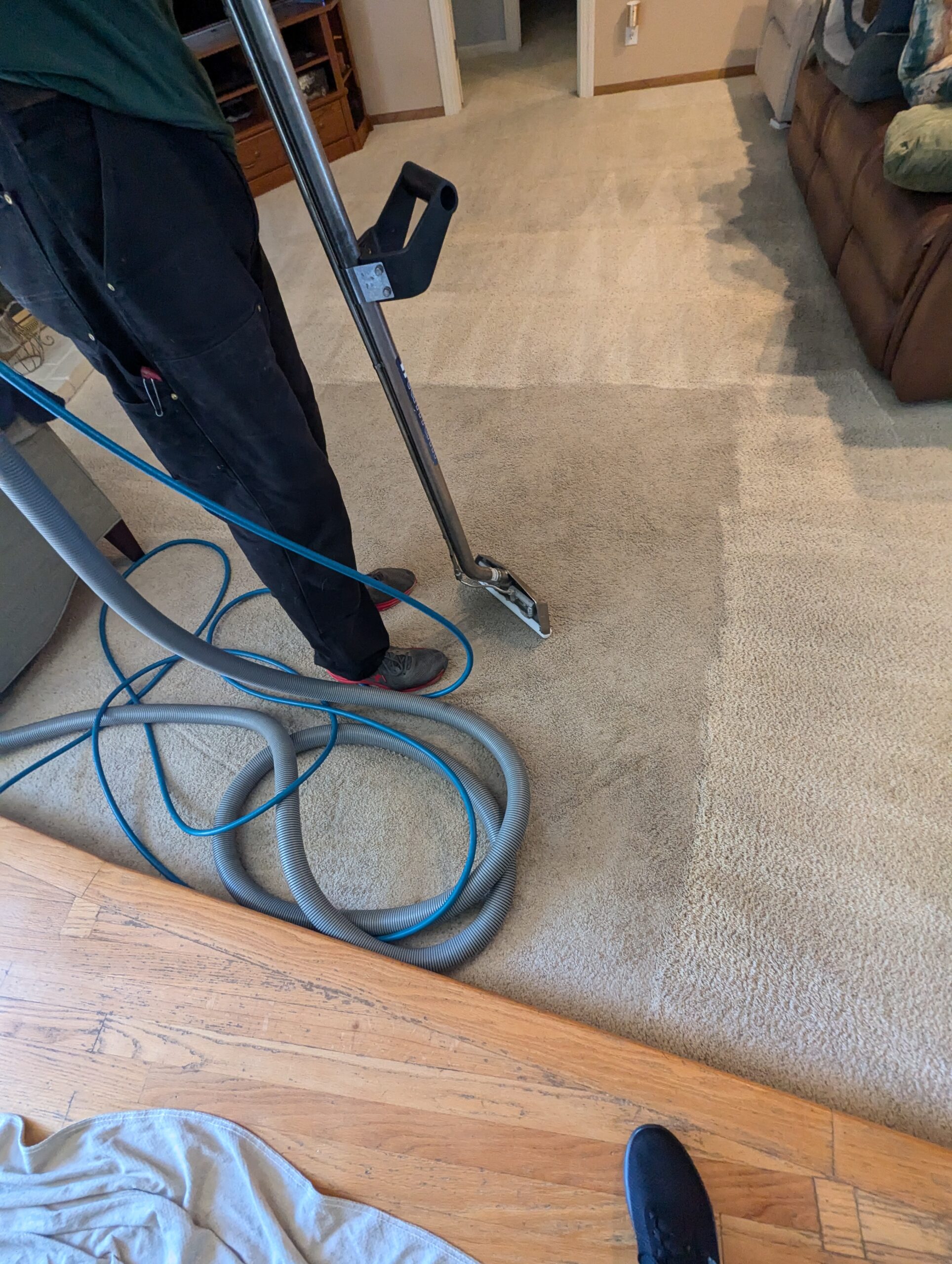 Professional carpet cleaning before and after in Martinez CA