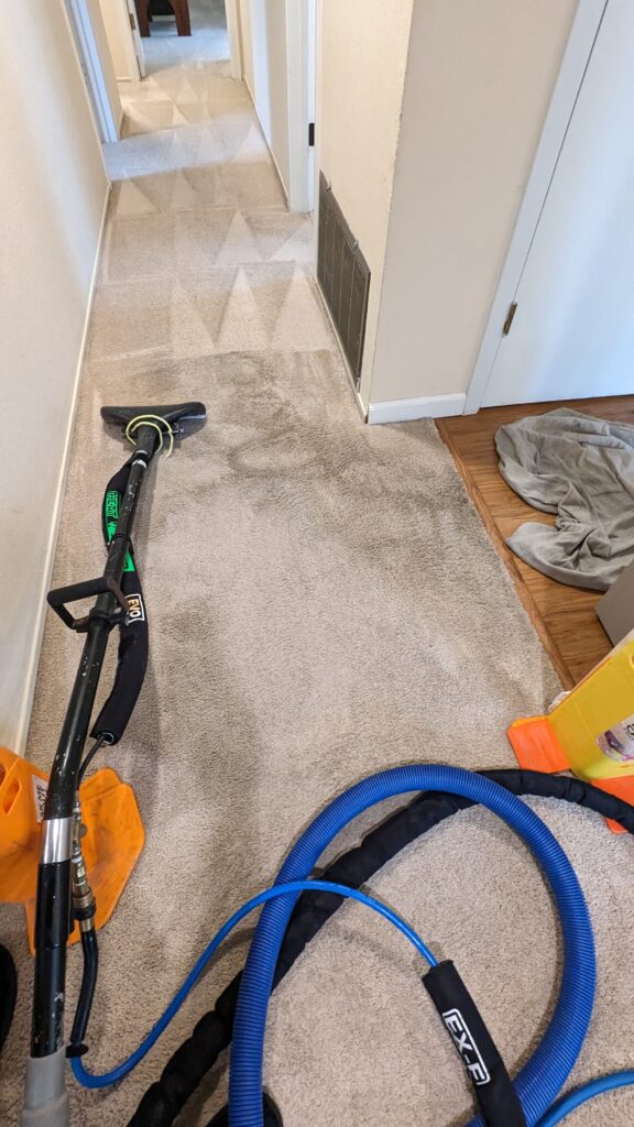 Wet carpet cleaning and water damage extraction in Martinez CA